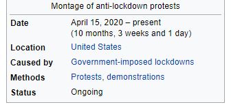 US lockdown anti protests