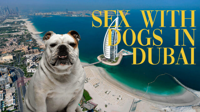Sex with dogs in dubai