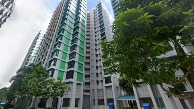 Woman and Baby Found Dead at Foot of Eunos Block of Flats